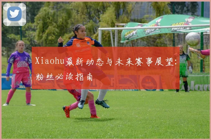Xiaohu最新动态与未来赛事展望:粉丝必读指南