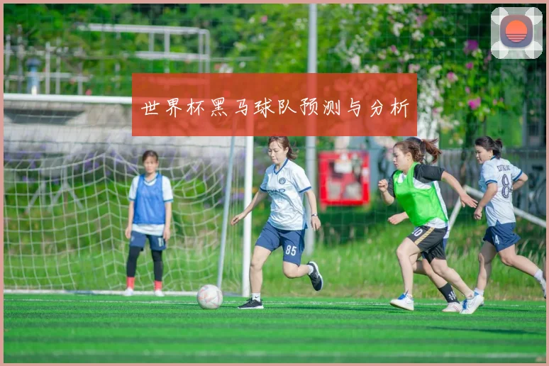 世界杯黑马球队预测与分析