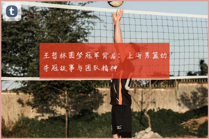王哲林圆梦冠军背后:上海男篮的夺冠故事与团队精神